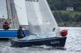 bluefin 2555c whyw24 sun 750 6317
